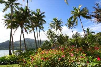 Lalati Resort & Spa 6
